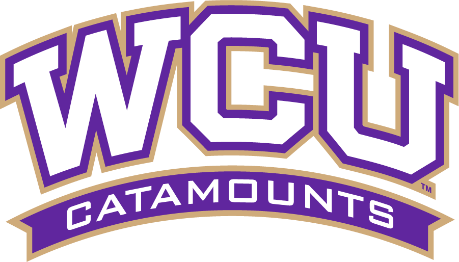 Western Carolina Catamounts 2015-2018 Wordmark Logo DIY iron on transfer (heat transfer)